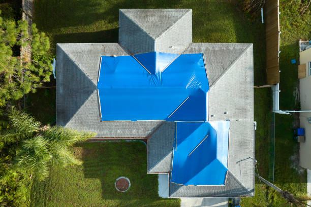 Best Roof Ventilation Installation  in Lake Shastina, CA